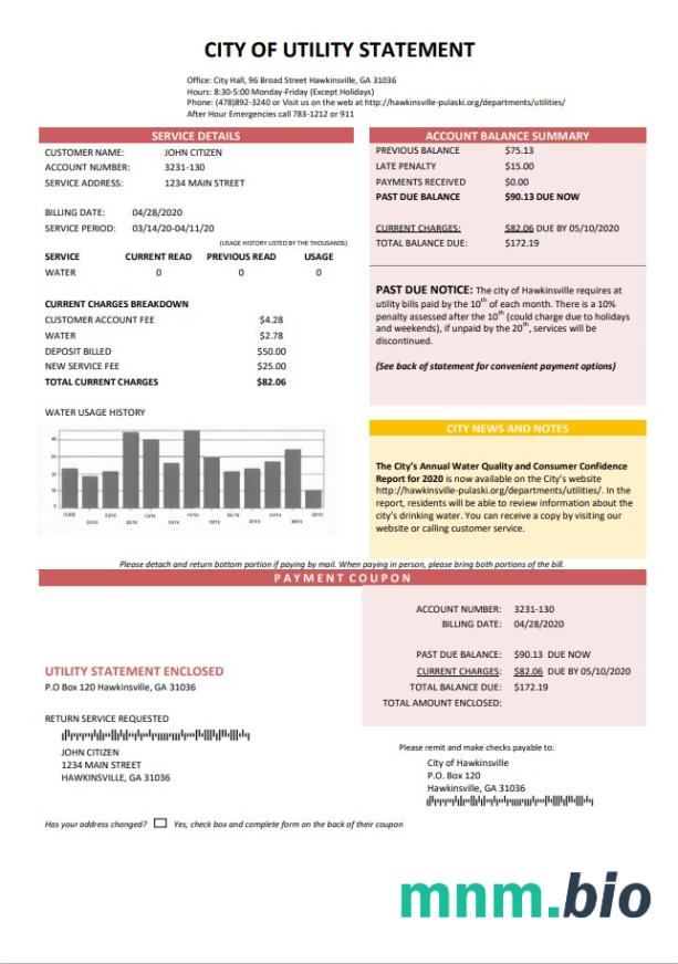 USA City Of pożytek Statement woda rachunek za media szablon w formacie Word i PDF